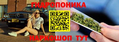 шишки Обь