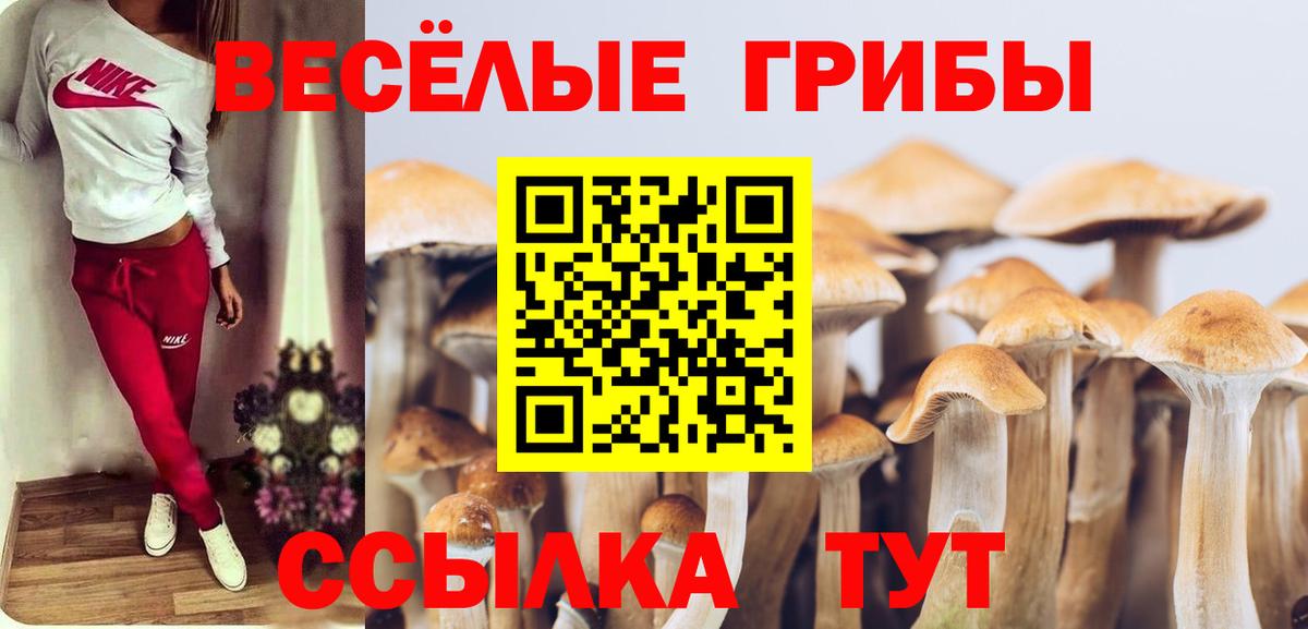 Псилоцибиновые грибы ЛСД Советский