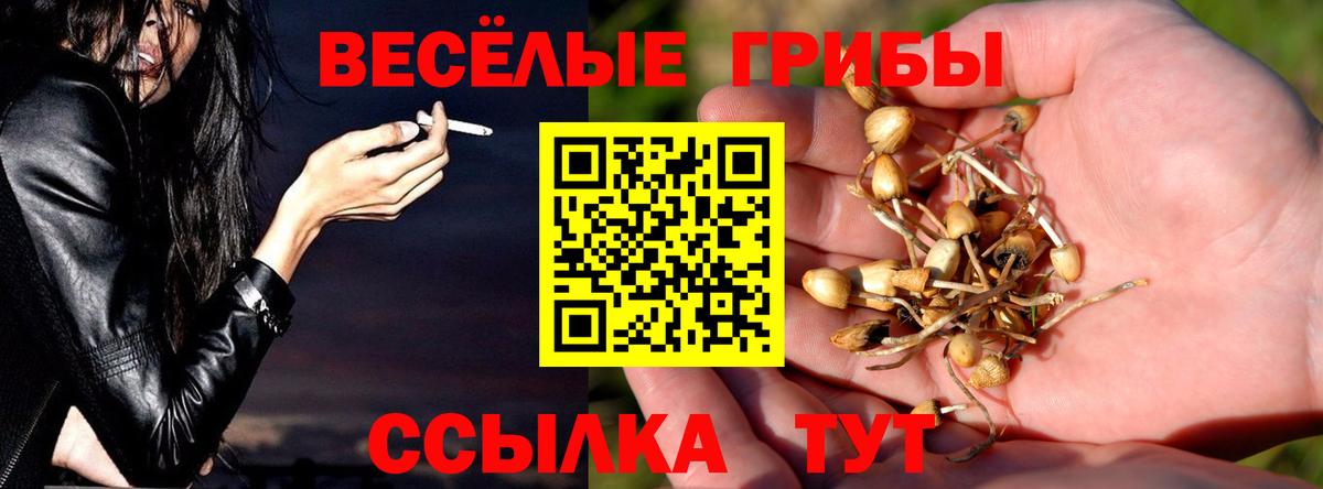 Галлюциногенные грибы Cubensis  Вход с VPN  Галлюциногенные грибы прущие грибы  Советский 